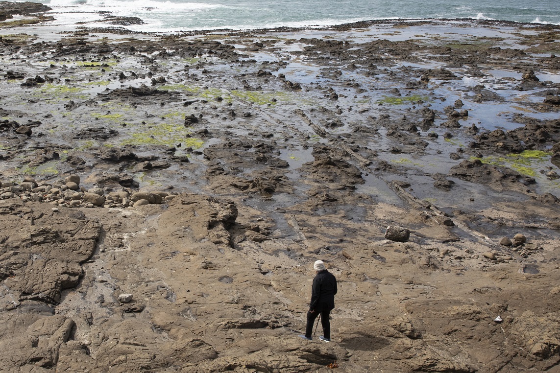 A visitor inspects the site of Curio Bay’s petrified forest in the Catlins. Photo: Getty Images