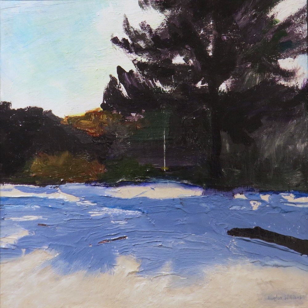 Rope Swing, Mapoutahi Pa, by Hayden Williams.