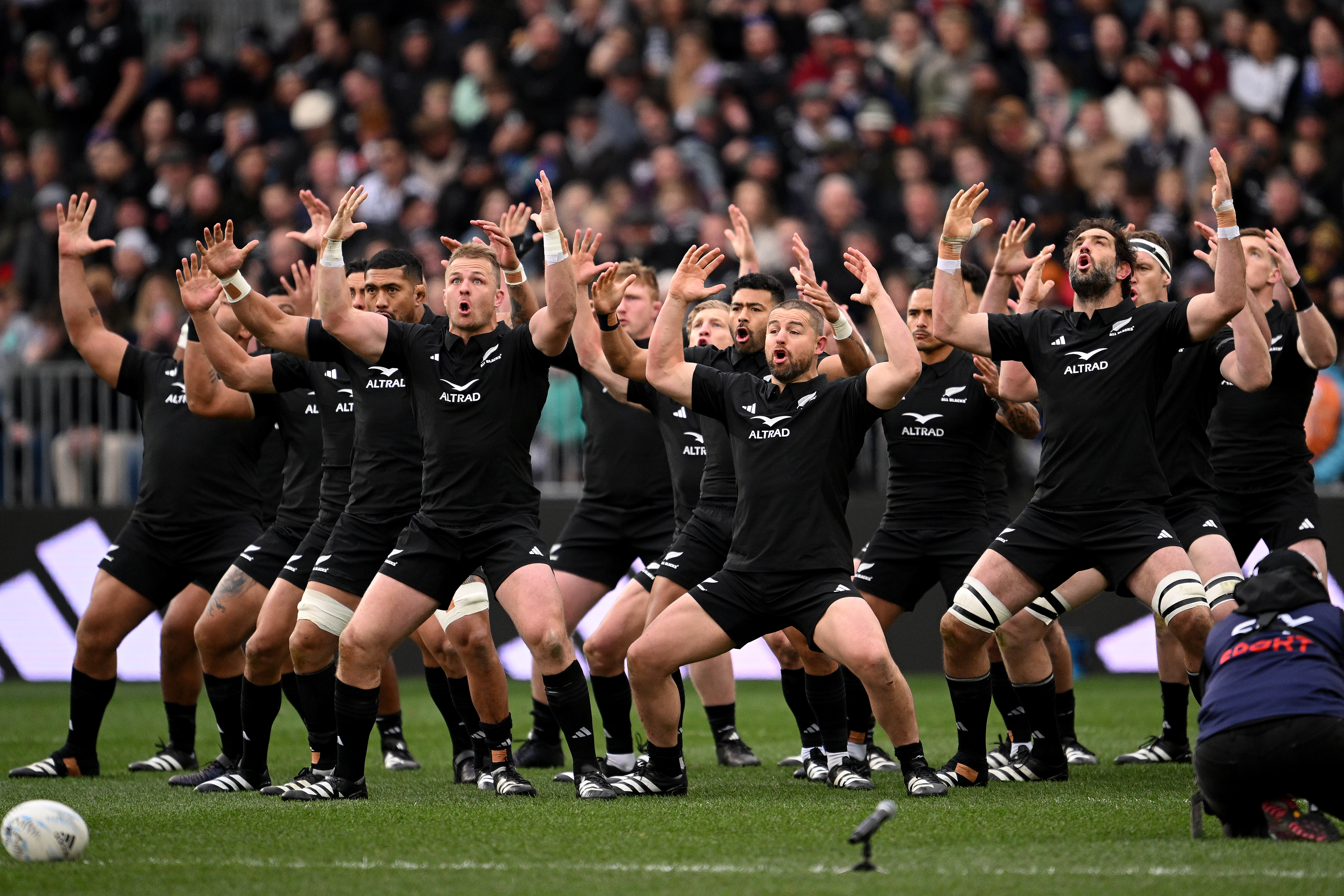 all blacks on tv