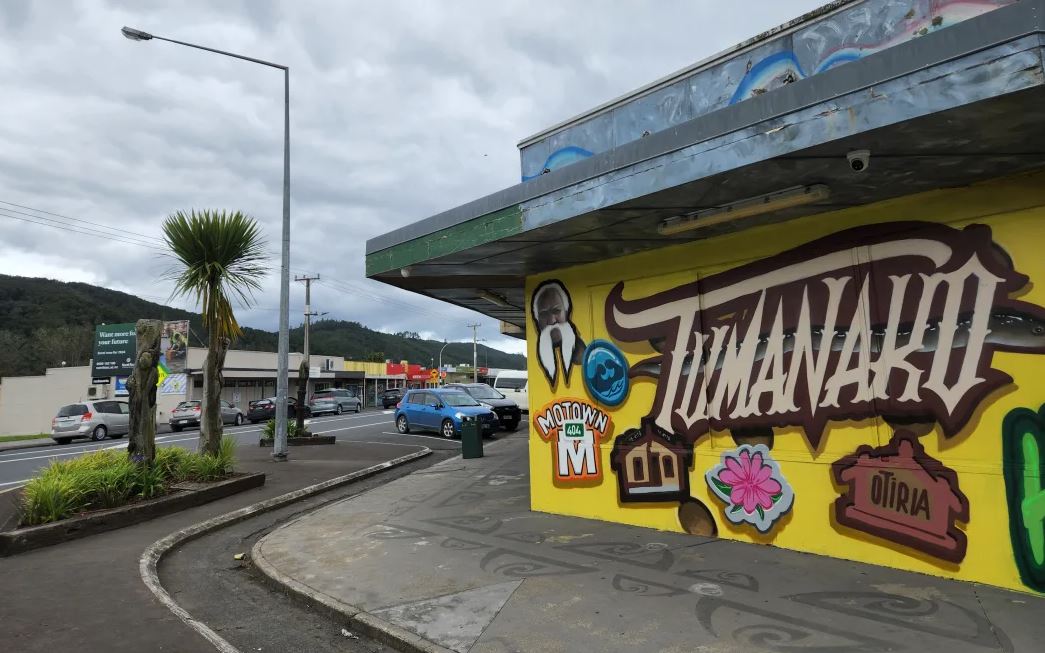 A Northland dog welfare group says the local council has a history of poor animal control. Photo:...