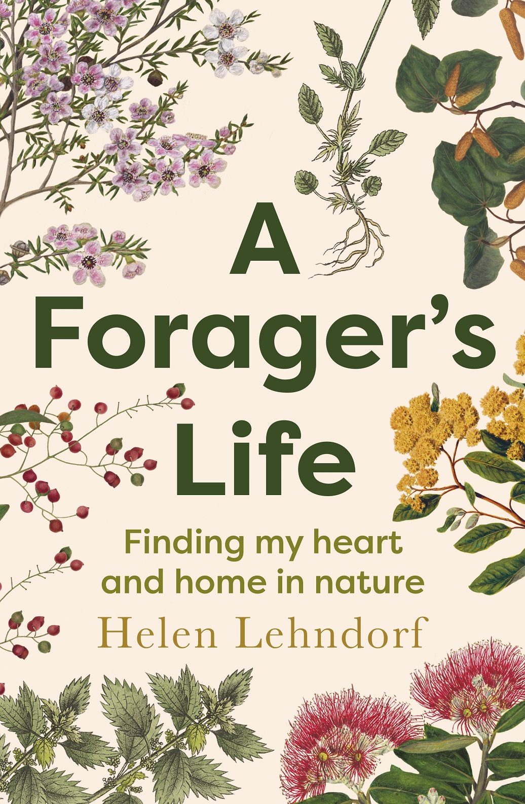 A Forager’s Life by Helen Lehndorf, published by Harper Collins Aotearoa New Zealand.