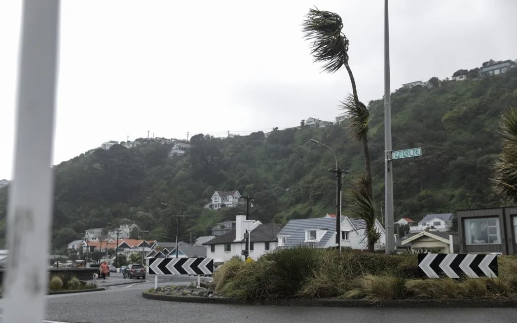 Strong winds warnings are in place in the lower North and South Islands. Photo: RNZ/Samuel Rillstone