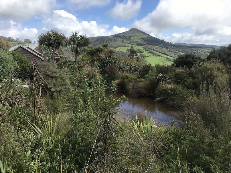 The pond with Mopanui in the background. PHOTOS: GILLIAN VINE