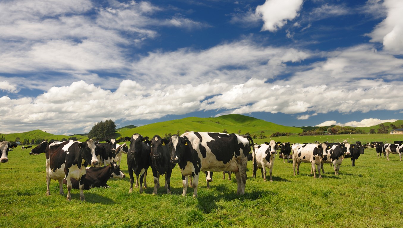 The report found 5000 dairy farms were not inspected for dairy effluent compliance.