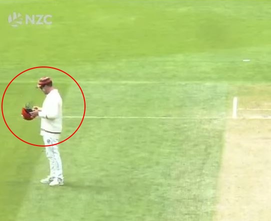 The moment in the video where Henry Nicholls appears to scrape the ball across the surface of a...
