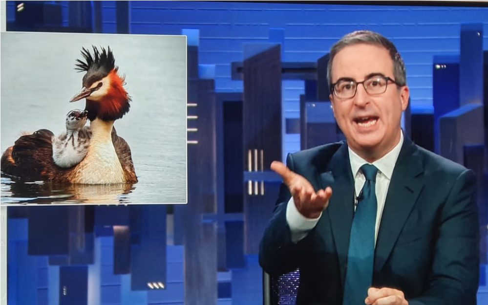 Comedian John Oliver on his show Last Week Tonight on 5 November. Photo: Screengrab