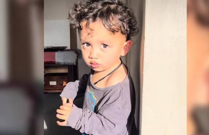 Ruthless-Empire died at Hutt Hospital just days before his second birthday. Photo: supplied