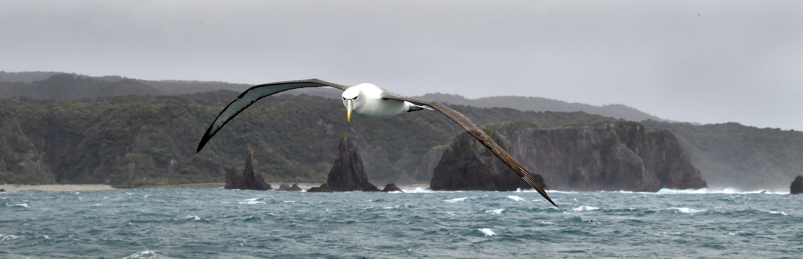 Photo: Stephen Jaquiery