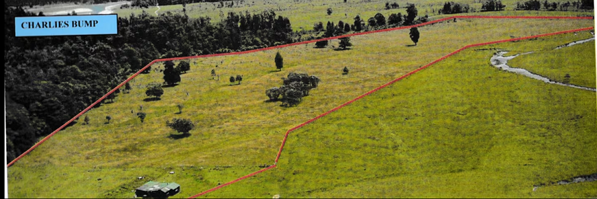 The holding paddock in question - when the hut was still standing.