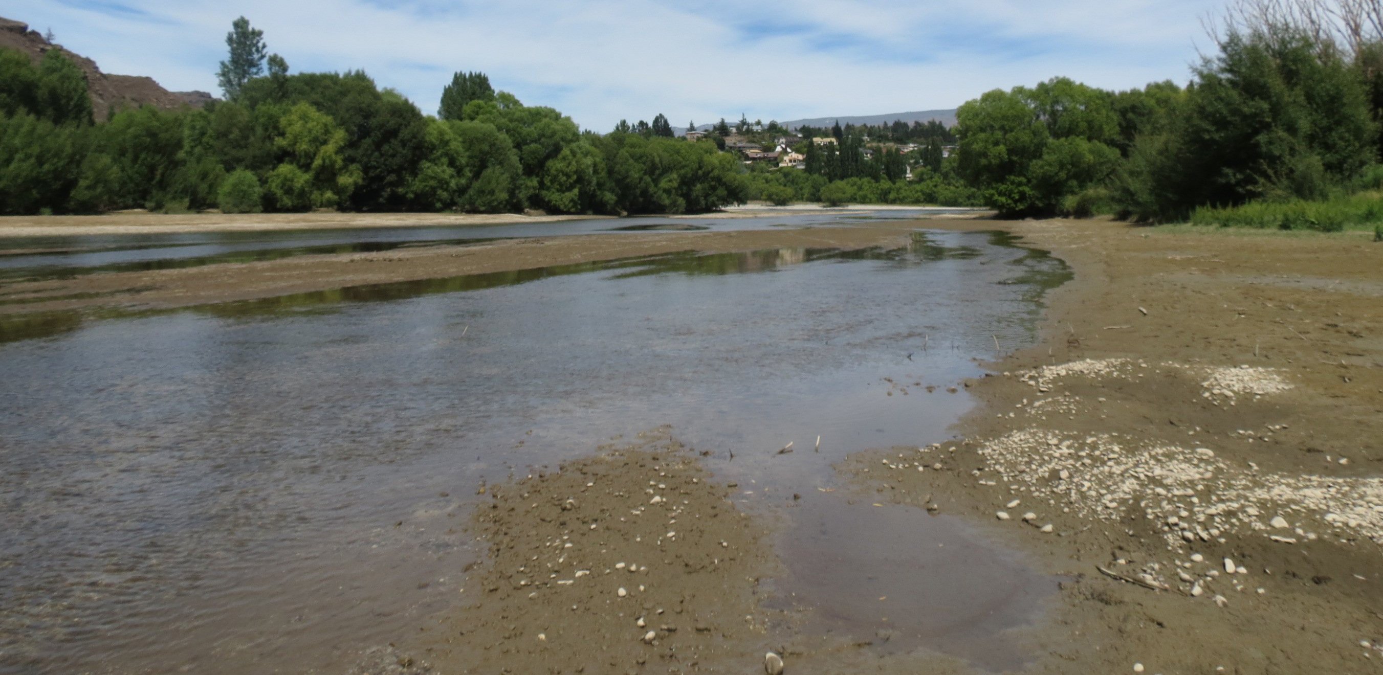 Low flows on the Manuherikia River are putting additional stress on the waterway and its...