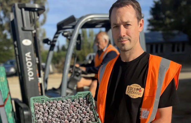 The pitted cherries are frozen quickly to preserve the fruit's colour and taste. Photo: Supplied ...