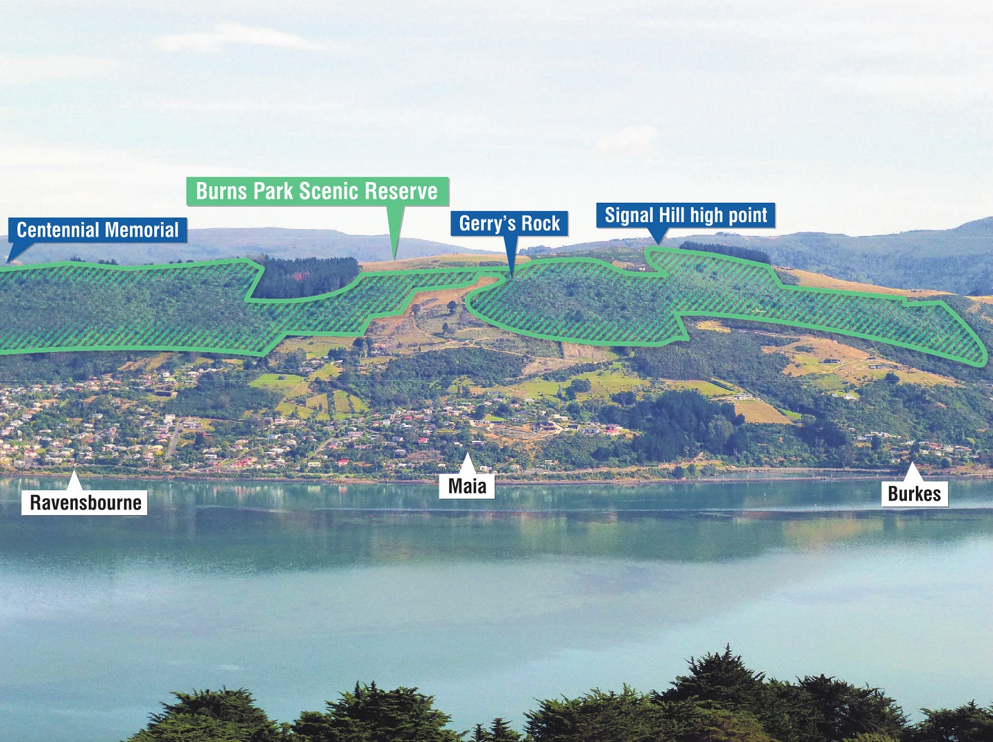 The Burns Reserve as seen from the other side of the harbour. PHOTO: GREGOR RICHARDSON/GRAPHIC:...
