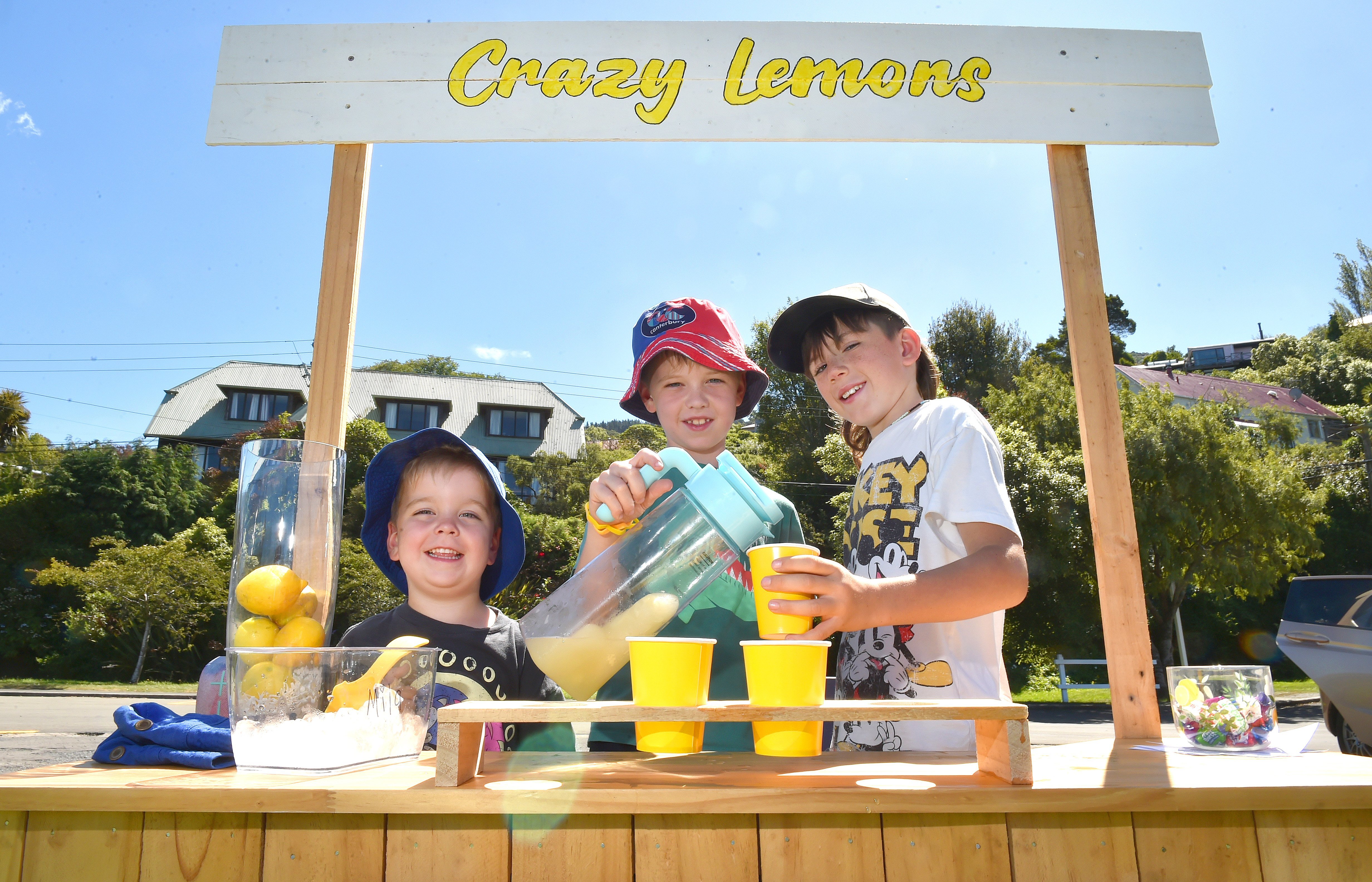 Young entrepreneurs (from left) George, 4, and Fletcher, 9, Humpries and Max Paton, 8, all of...