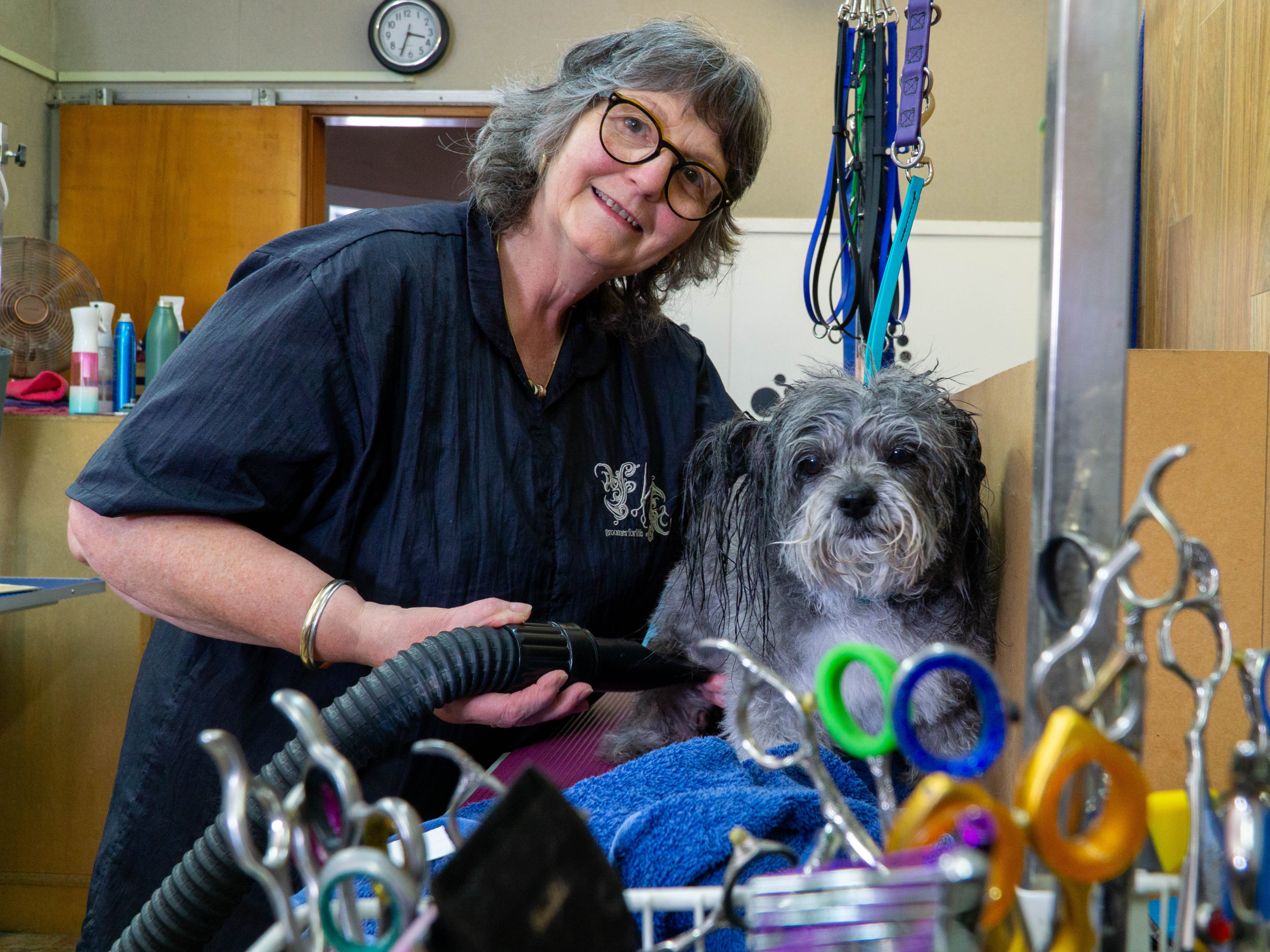 The Grooming Shop owner Cathy Wallace blow-dries Moo after a bath at her Thames St shop. PHOTO:...