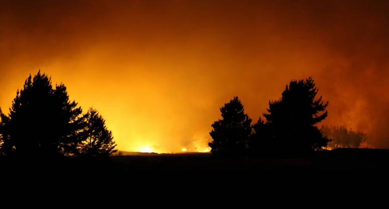 The fire in Old West Coast Rd near the town of Kirwee in the Selwyn District, has burnt through...