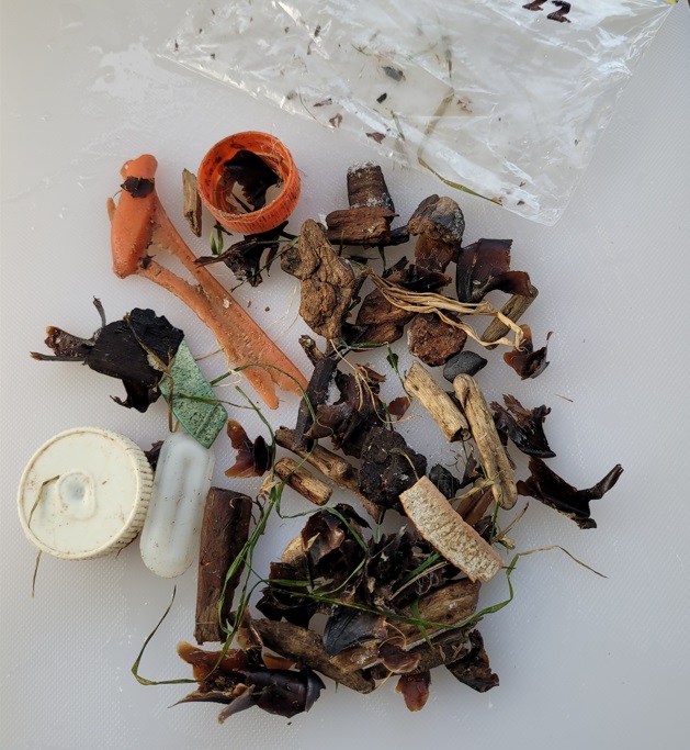 An example of plastic found in the regurgitation of an albatross. Photo: DOC