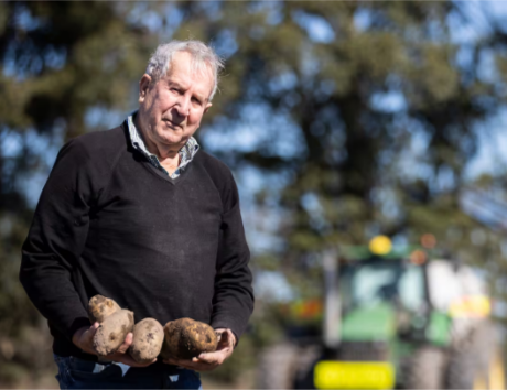 Allan Pye, the "Spud King", has passed away. Photo: NZ Herald