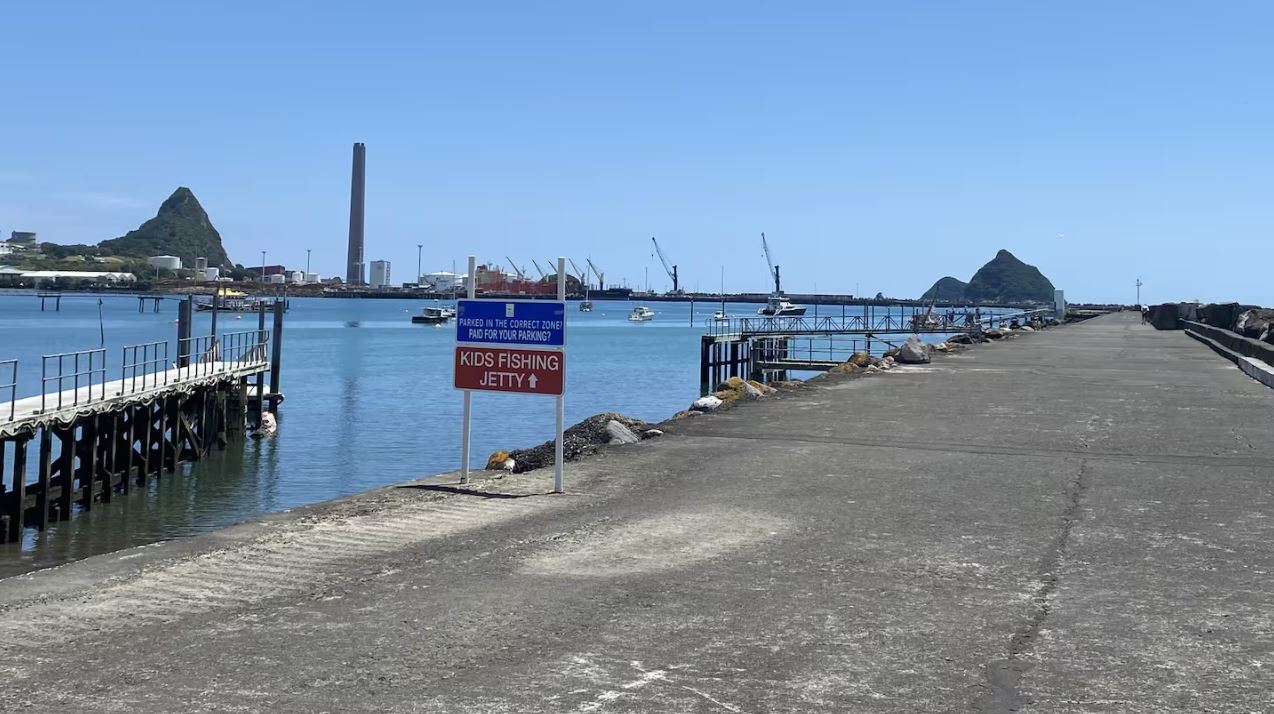 The fisherman was assaulted at New Plymouth's Lee Breakwater in January this year. Photo: NZ Herald