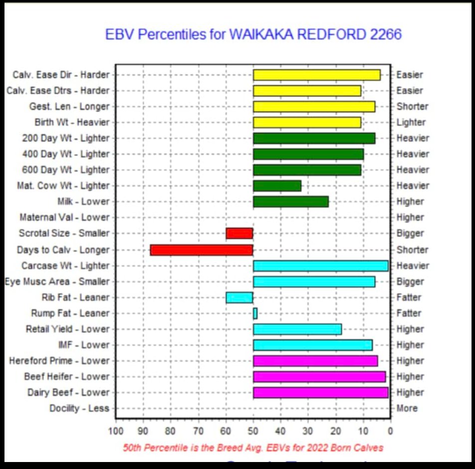 EBV percentiles for Waikaka Redford 2266. GRAPHIC: SUPPLIED