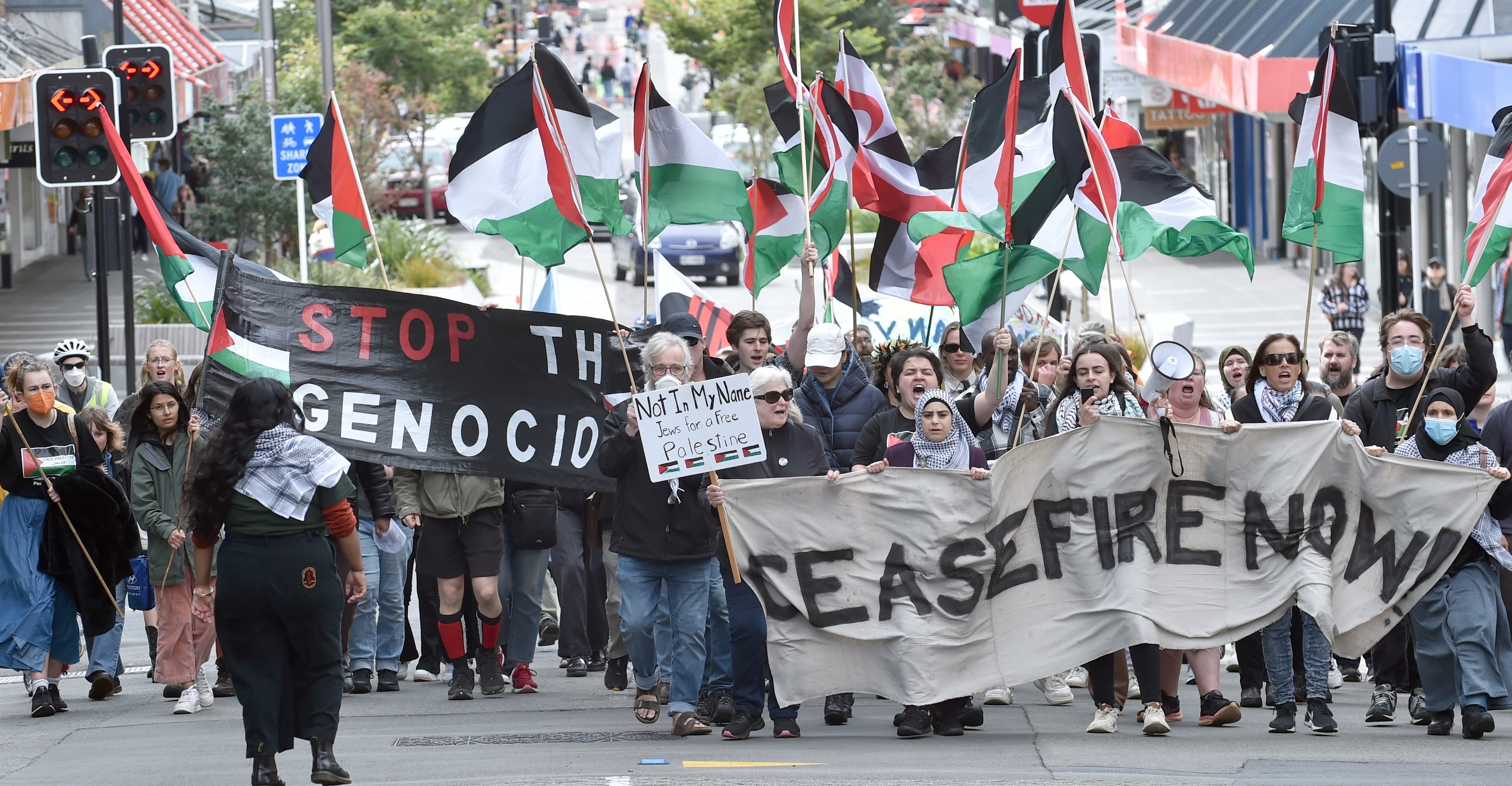 A large group of people took to the streets of Dunedin again, calling for a ceasefire in the...