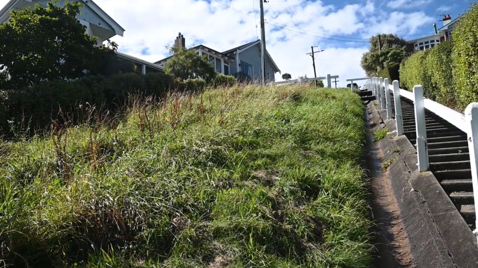 A long strip of grass in the suburb of Roslyn, which the Dunedin City Council appears to have...