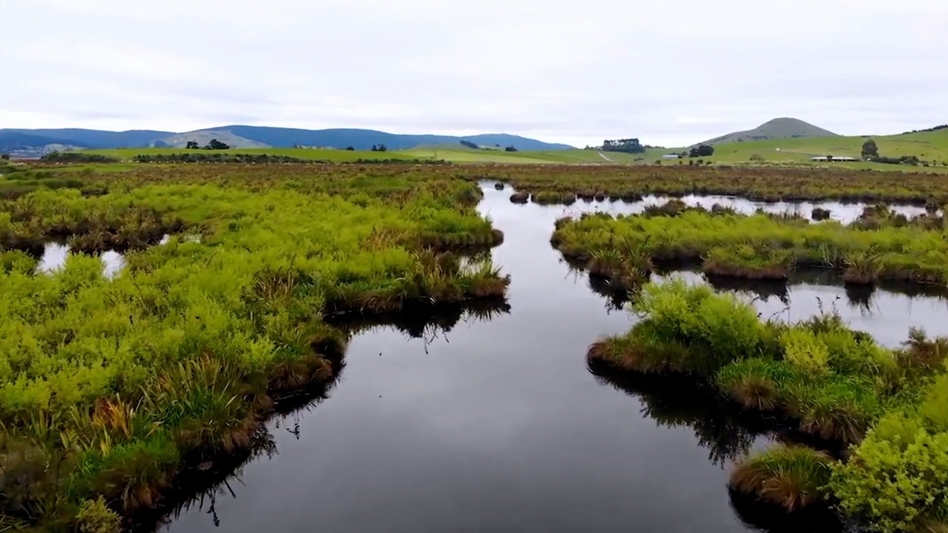 For many generations, the plentiful fish and birds of the Taiari wetlands, lakes and streams...
