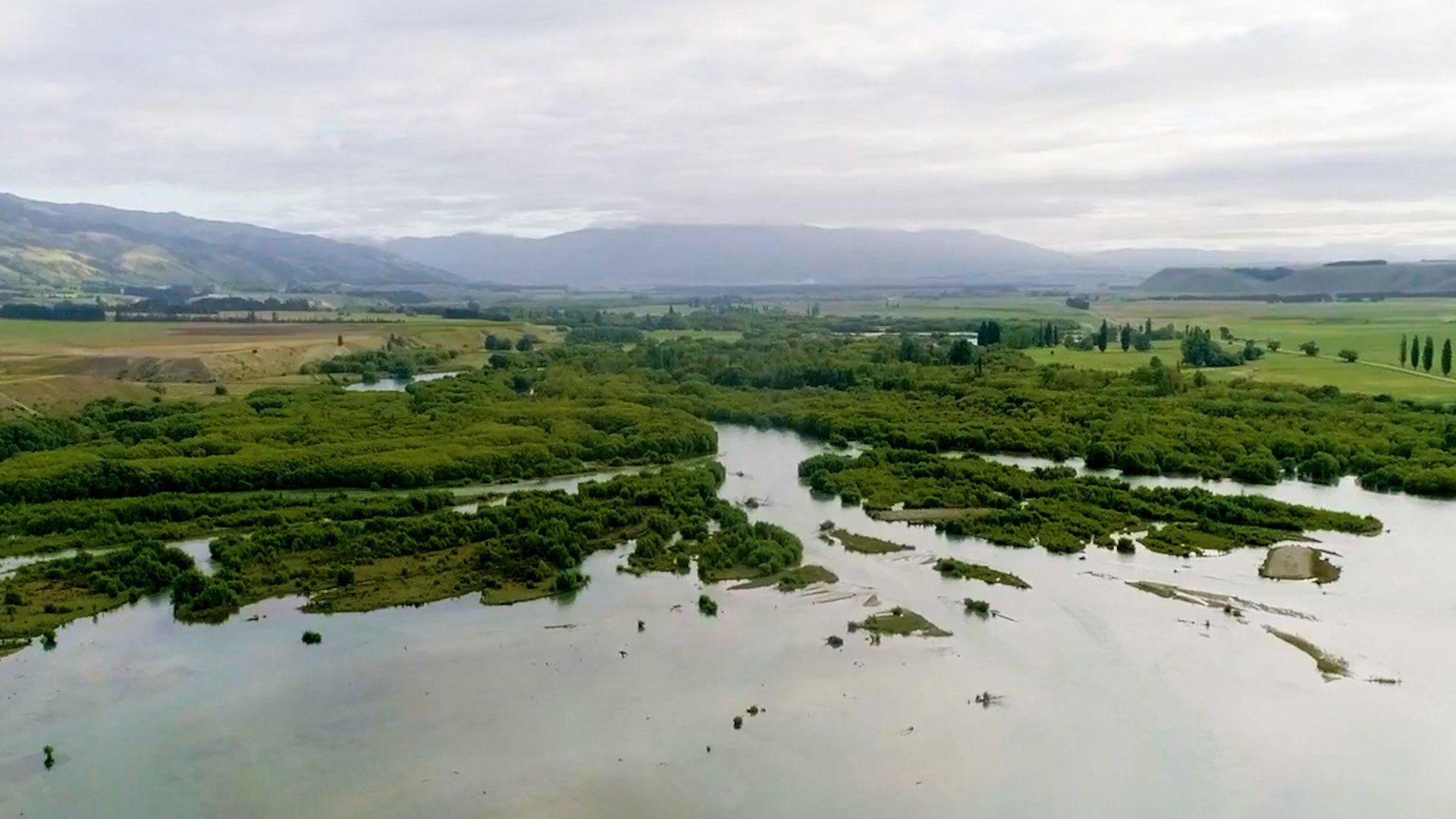 Before it was mostly drained during the European colonial period, the Taiari was a large expanse...