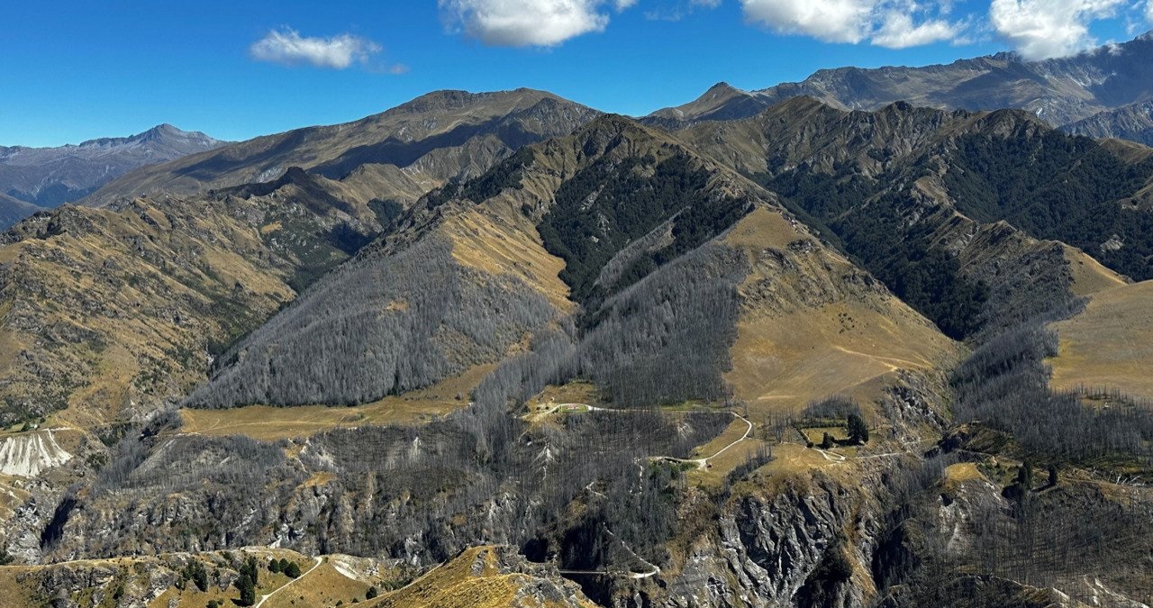 Skippers this year, showing the elimination of wilding pines. Photo: Whakatipu Wilding Control Group