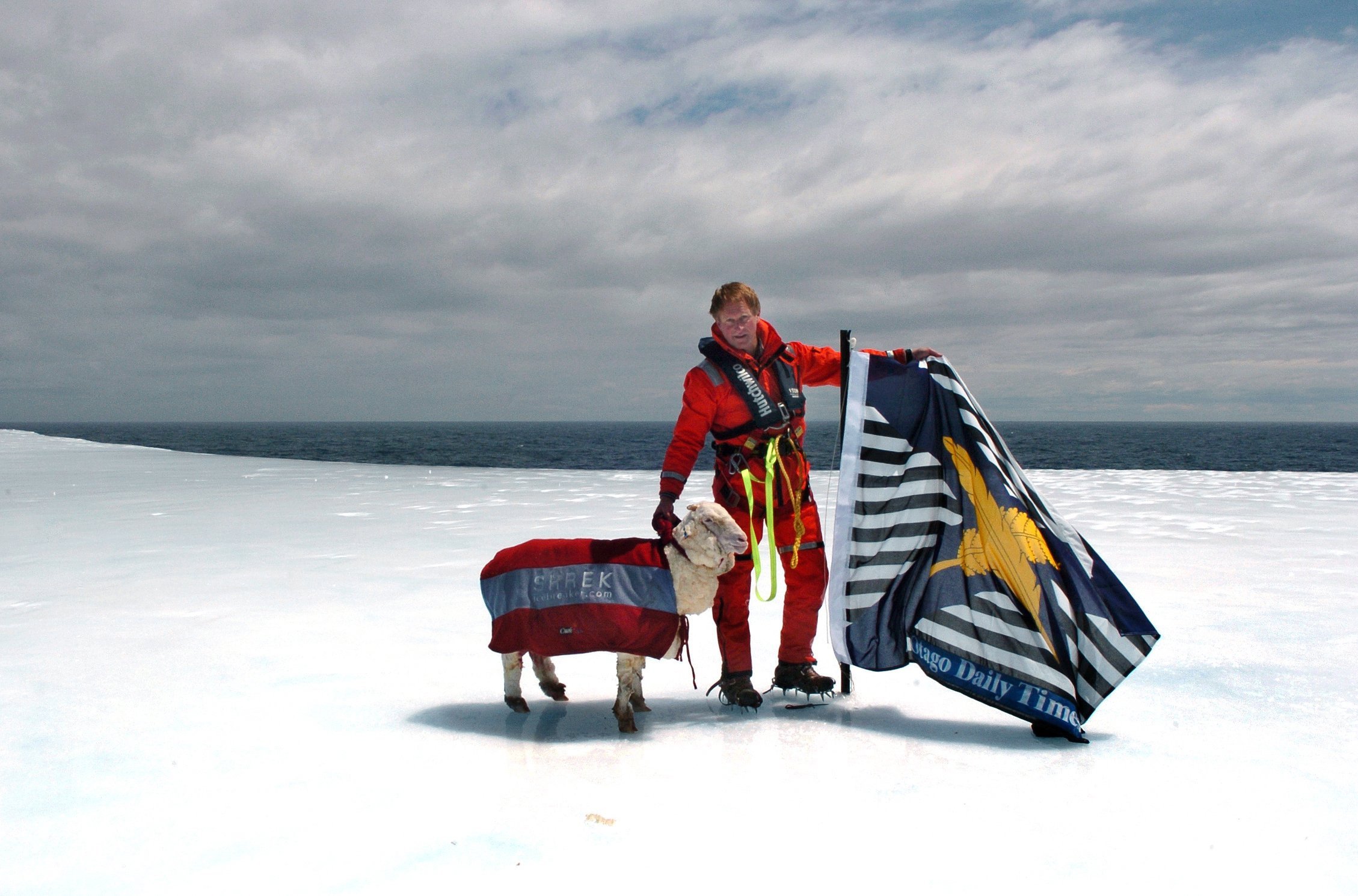 Shrek poses with Stephen Jaquiery and the Otago Daily Times company flag after being shorn on an...