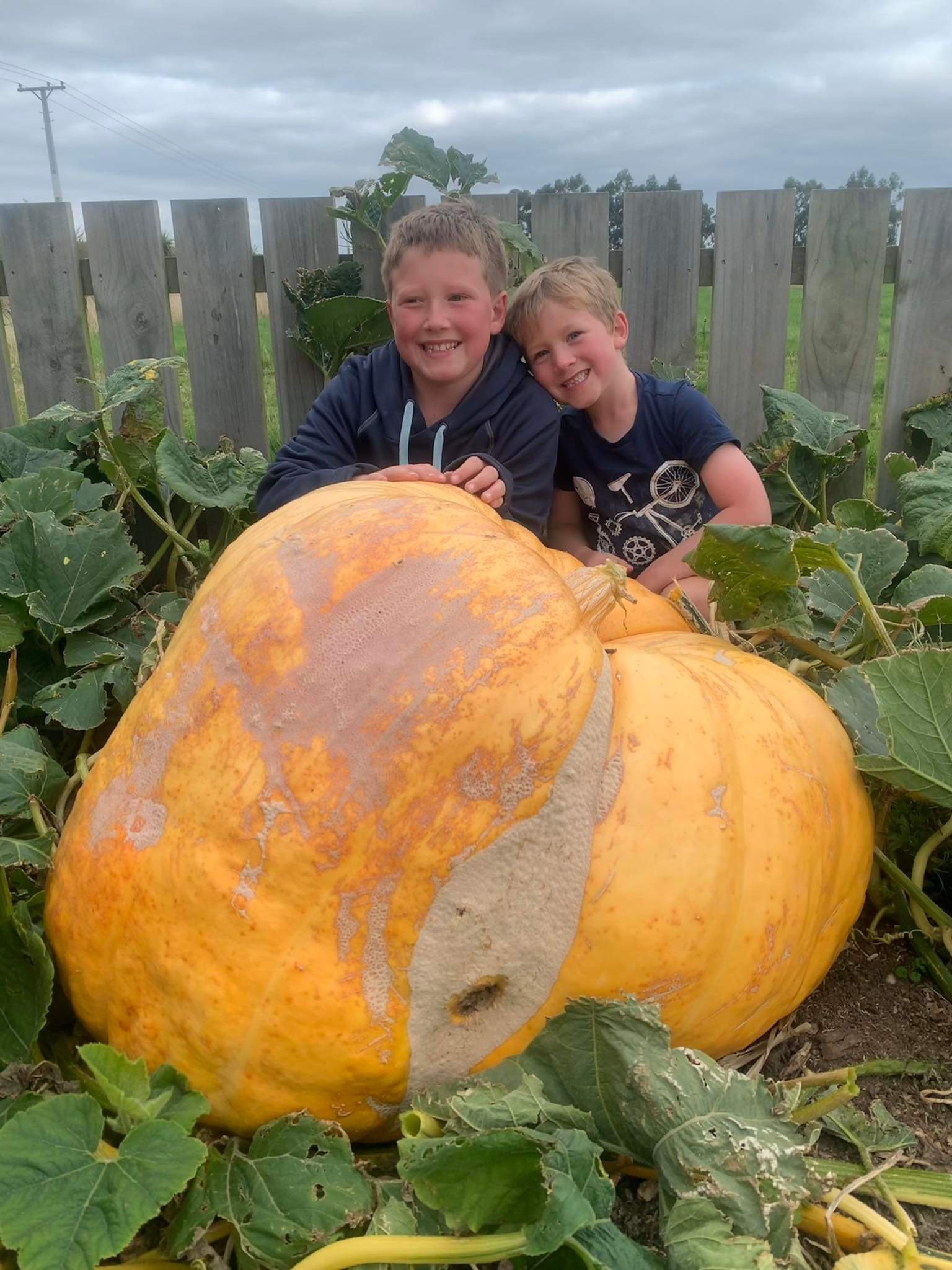 Inch Clutha brothers Oliver, 9, and Austin, 6, Law. PHOTO: NICOLA LAW 