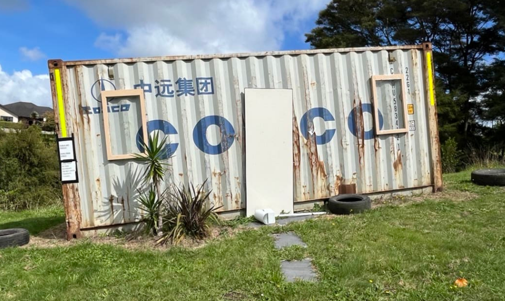 The Environment Court confirmed the container as public art. Photo: RNZ