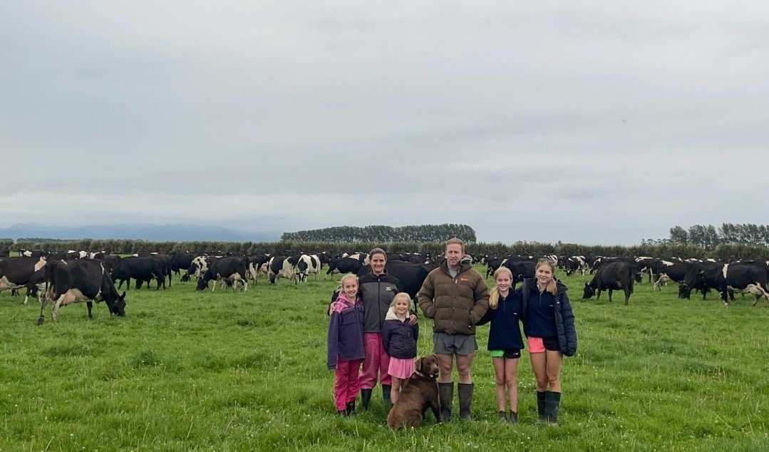 Mid Canterbury couple Daniel Blair and Hanneke Ferreira-Blair next to their collar-wearing herd...