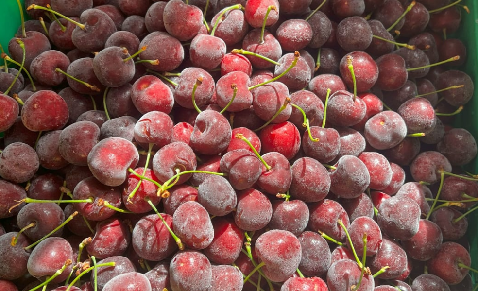 The Alexandra company also juices cherries. Photo: Supplied / Eden Orchards