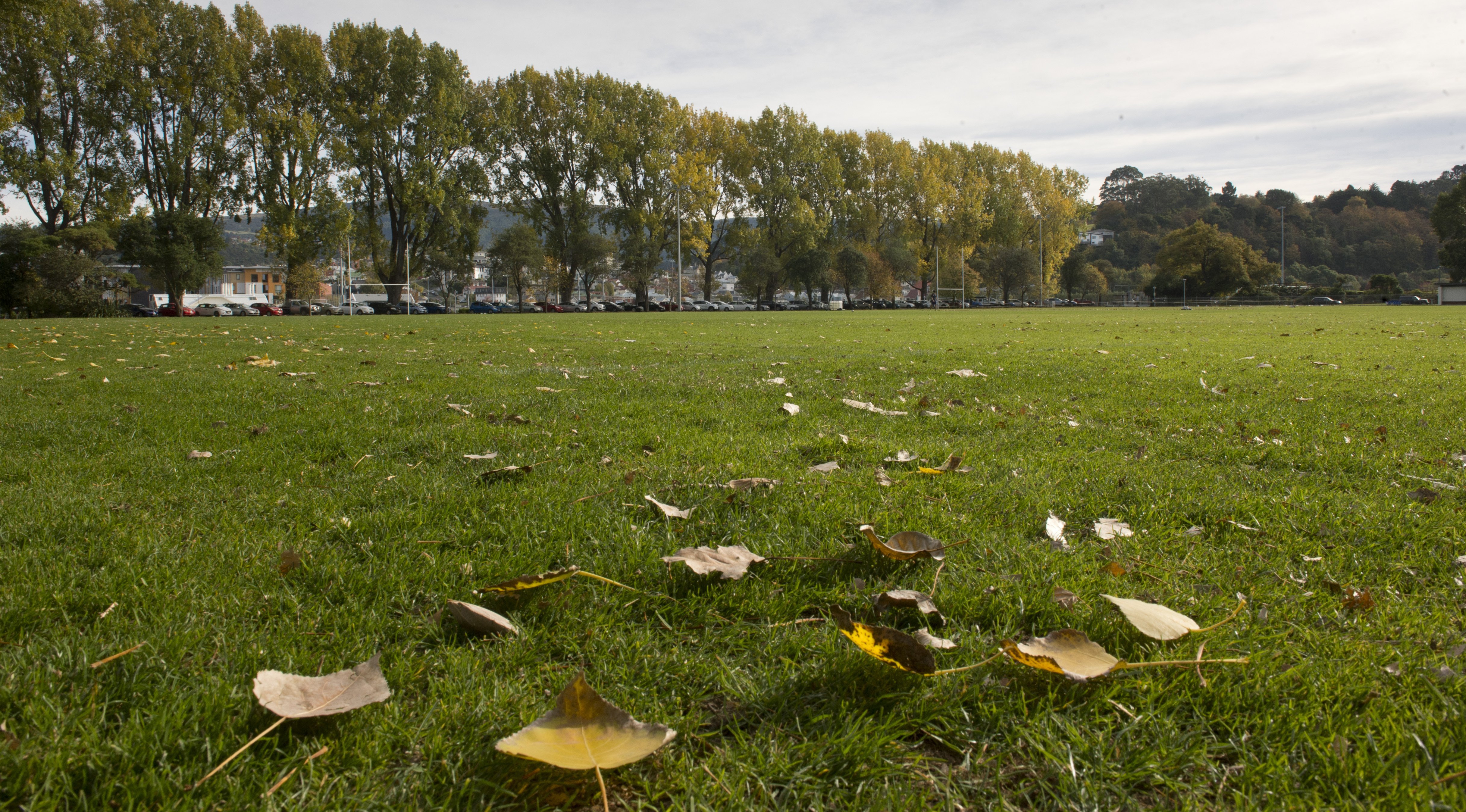 The Dunedin City Council will finally put a reserve proposal for Logan Park out to the public...