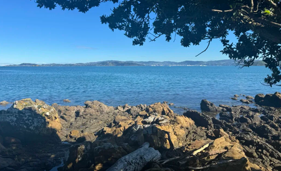 The woman's body was found in the water off Māhina Bay in Wellington harbour on Sunday. Photo: RNZ 
