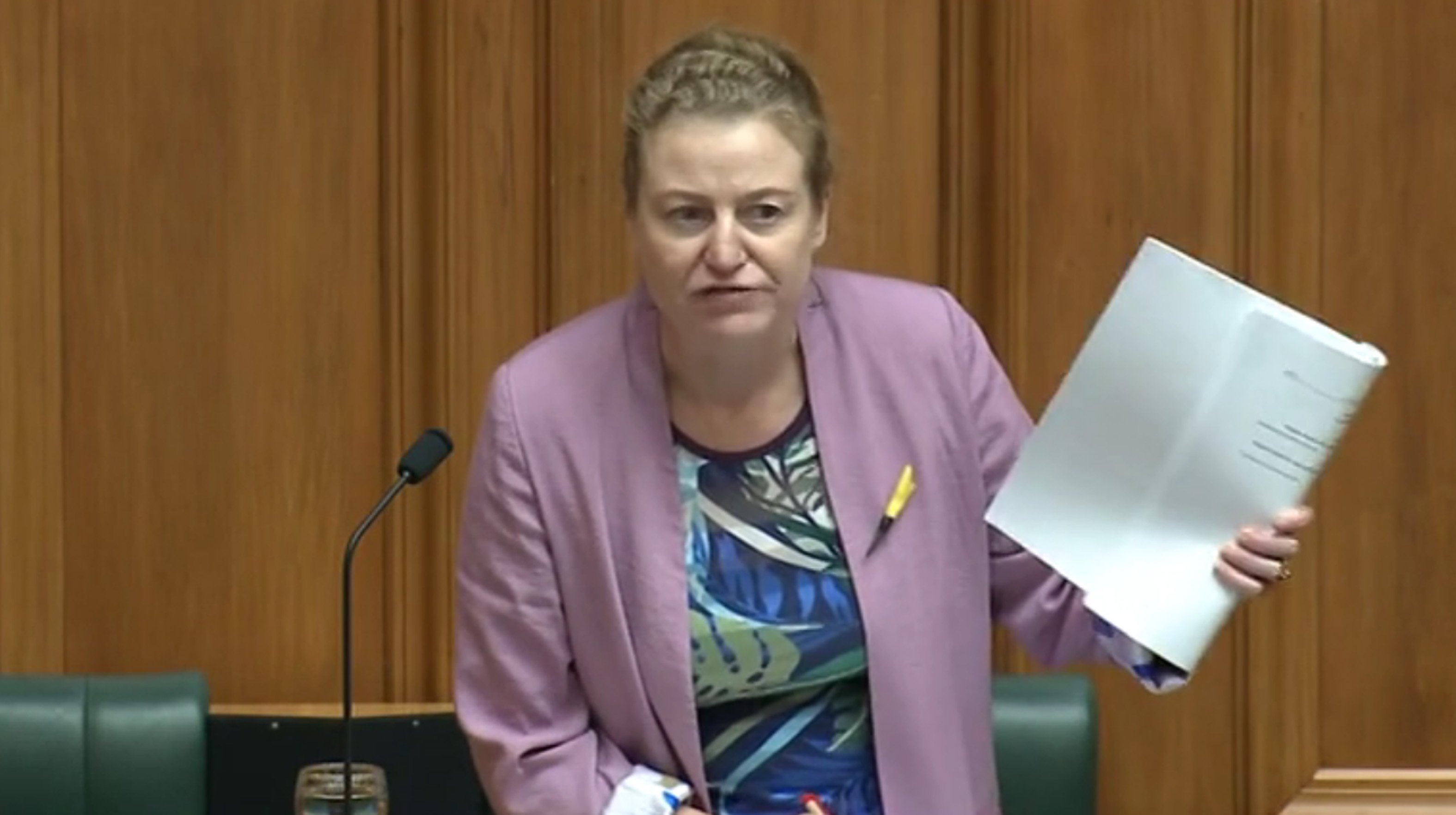 Dunedin Labour MP Rachel Brooking let out all her frustrations when addressing Parliament about...