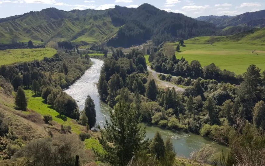 The Whanganui River was granted personhood status in 2017. Photo: LDR / Moana Ellis