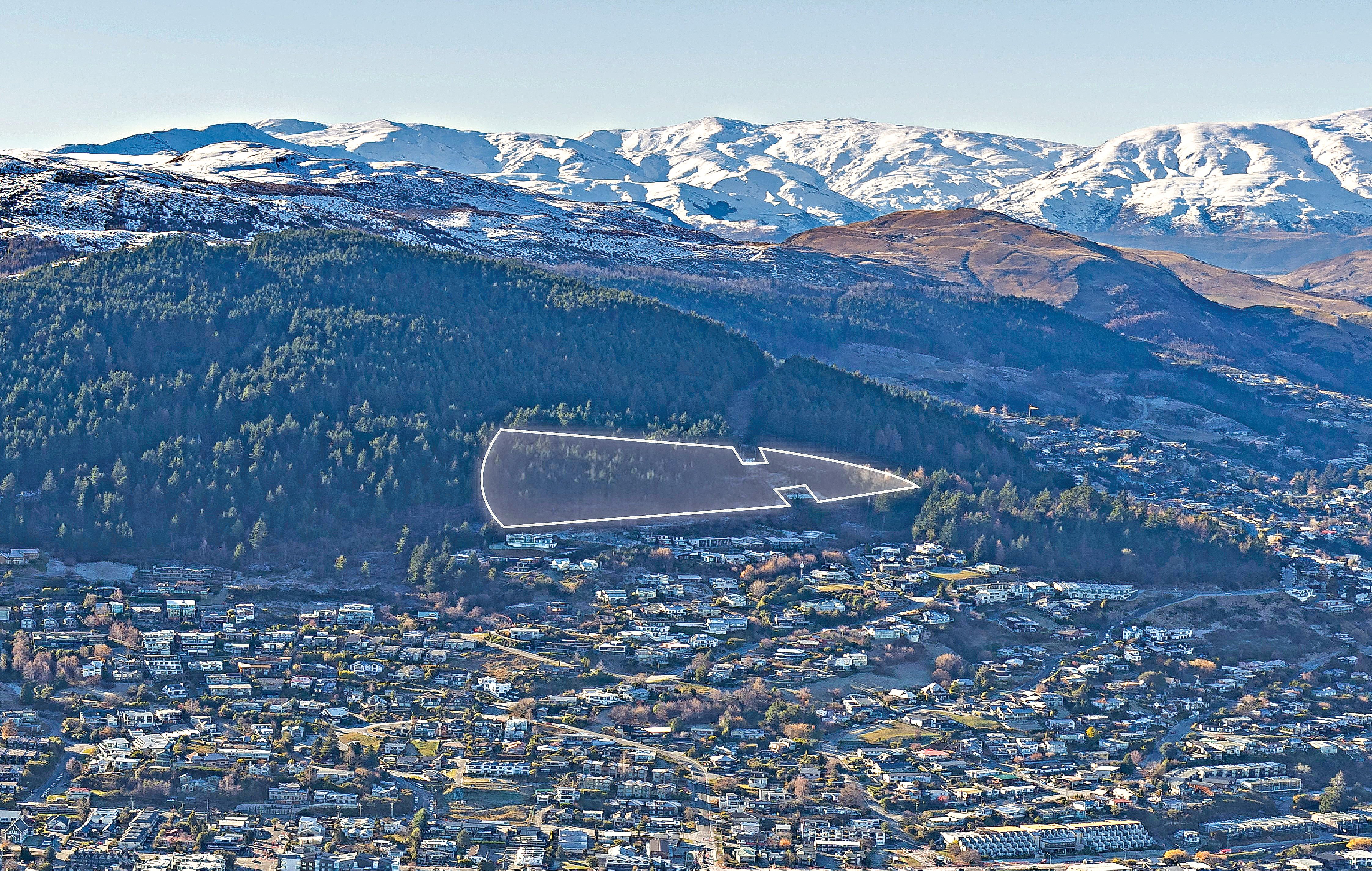 The Queenstown Lakes District Council has accepted a bid for this Queenstown Hill block but the...