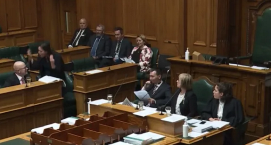 Julie Anne Genter stood over National's Matt Doocey and shouted at him in the House. Image:...