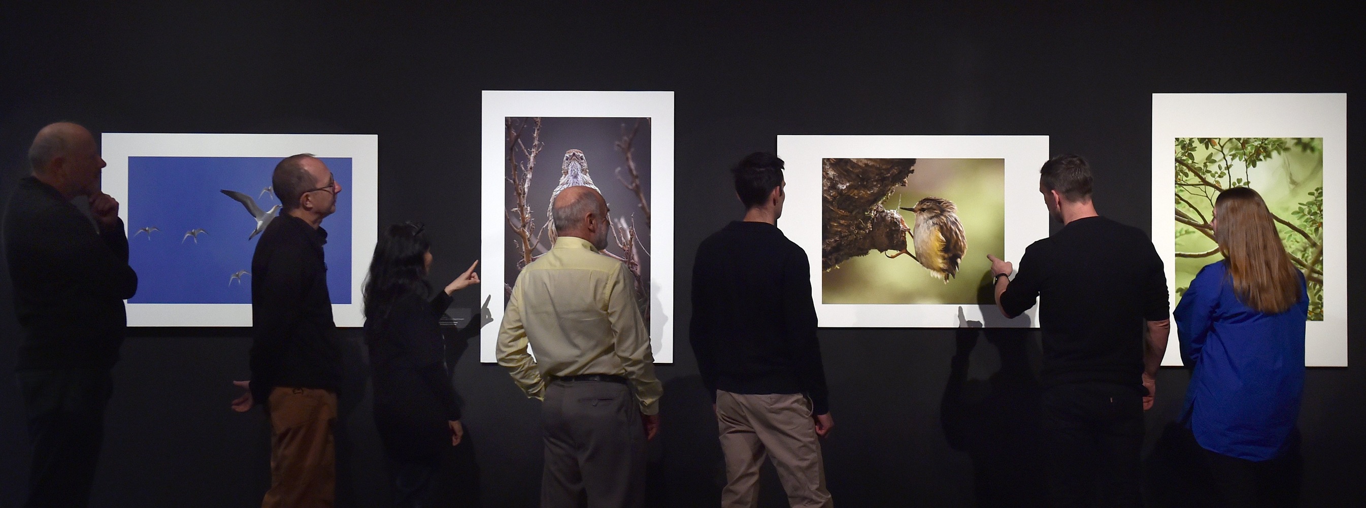 Tūhura Otago Museum Photography Competition judges (from left) Russell Drew, Gregor Richardson,...
