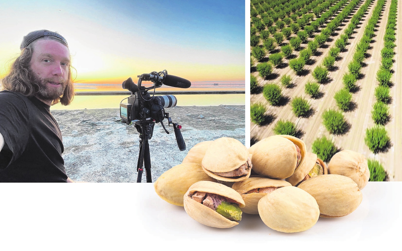 From left: film maker Rowan Wernham. Pistachio orchards stretch to the horizon across California...
