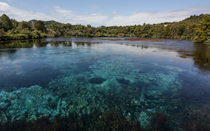 Among concerns are the impact of mining activity on Te Waikoropupū Springs. Photo: RNZ Among concerns are the impact of mining activity on Te Waikoropupū Springs. Photo: RNZ