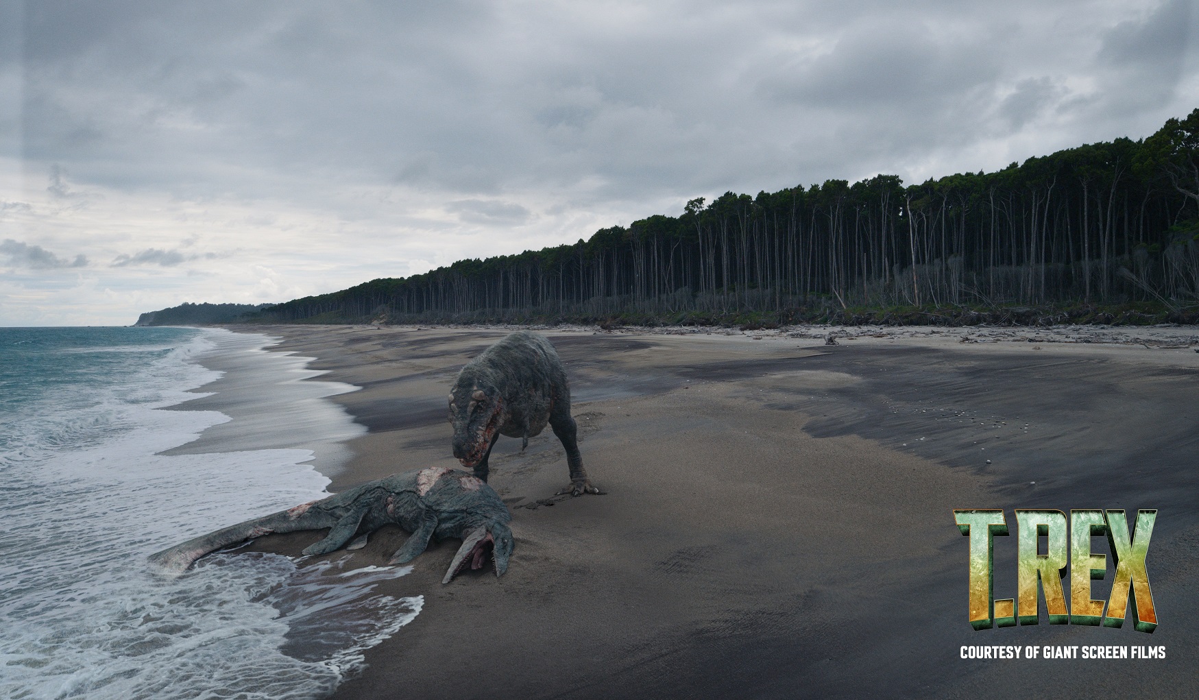 Tūhura Otago Museum is preparing for the first screening of the T REX: The Greatest of All...
