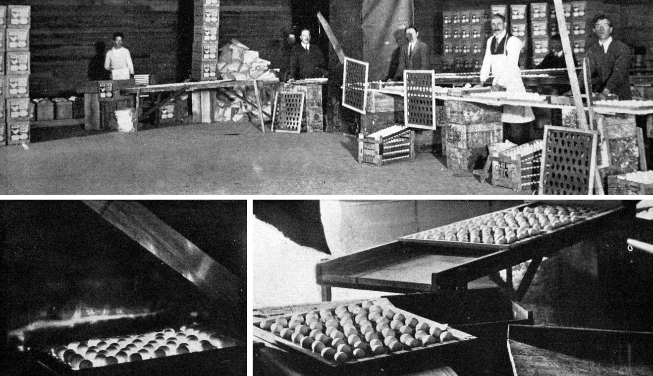 Eggs for export are graded (top), tested by electric illumination from underneath (left) and...