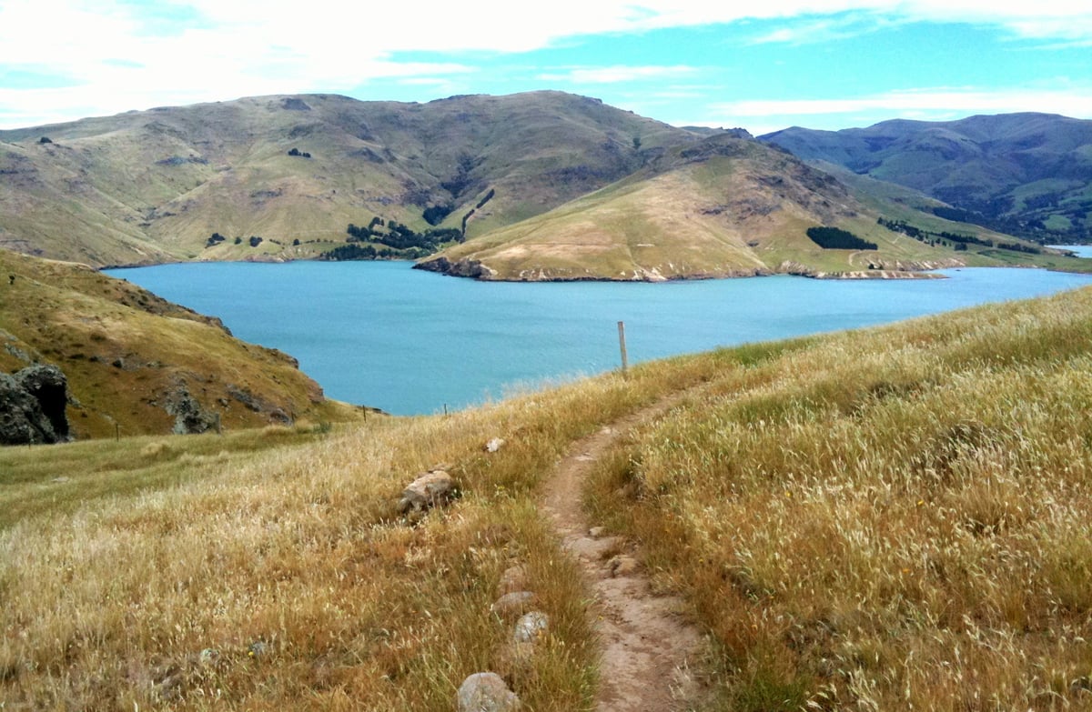 Godley Head has a network of walkways to explore Image: Photo: Creative Commons