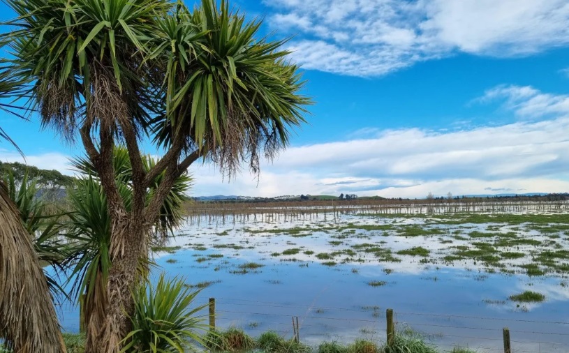 Floodwaters lingering in Clutha fields. Photo: RNZ