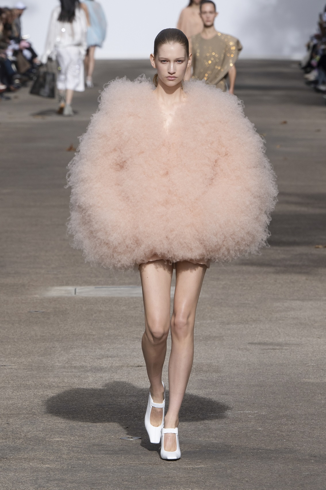 McCartney used fabric made from recycled bottletops as a substitute for bird feathers.