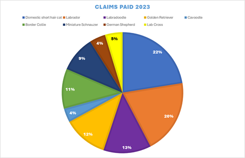 Graph: Southern Cross Pet Insurance
