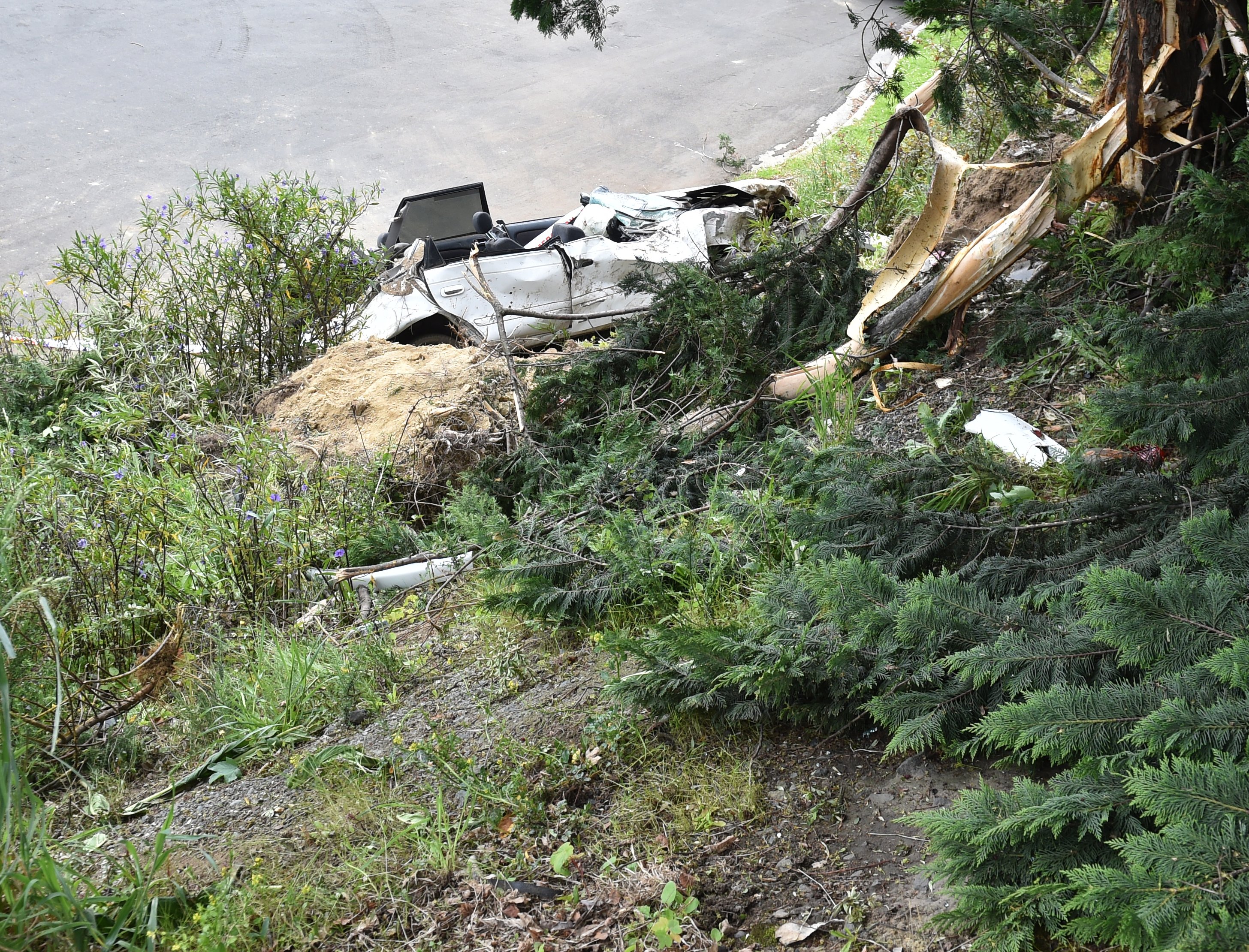 All of the car's occupants were taken to Dunedin Hospital. No other vehicles were involved in the...