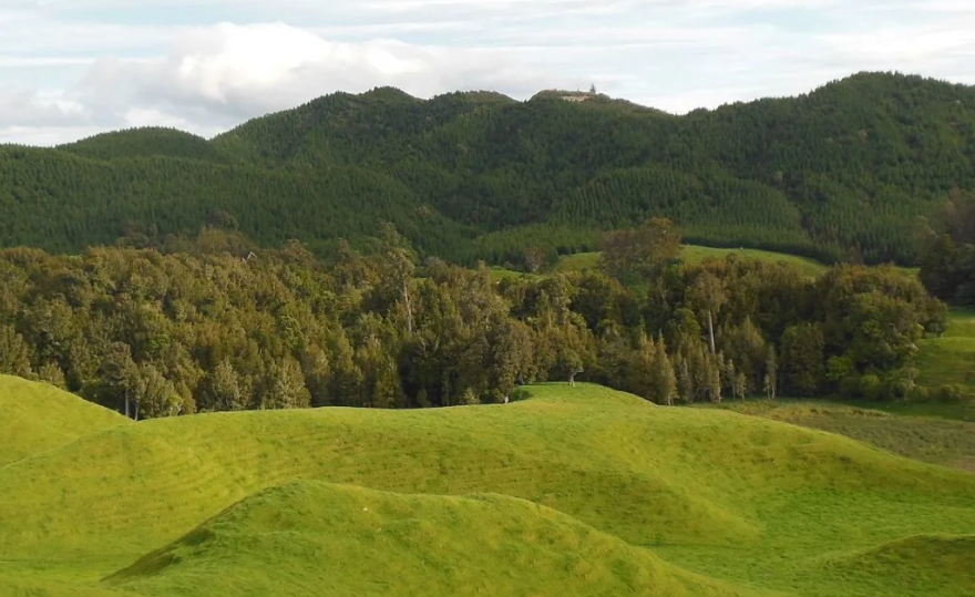 The QEII Trust and Maungatautari Ecological Island Trust Sanctuary are to get extra government...